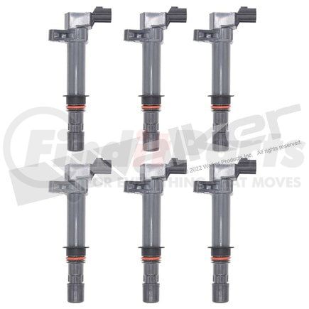 Walker Products 928-4051-6