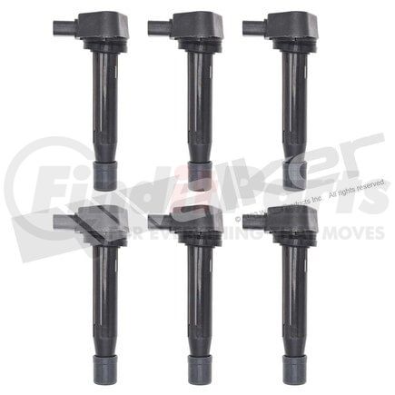 Walker Products 928-4064-6