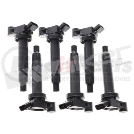 Walker Products 928-4066-6