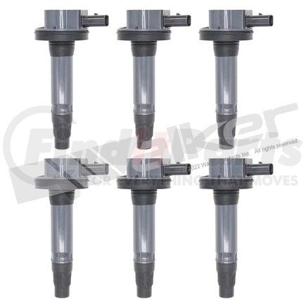 Walker Products 928-4102-6