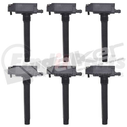 Walker Products 928-4119-6