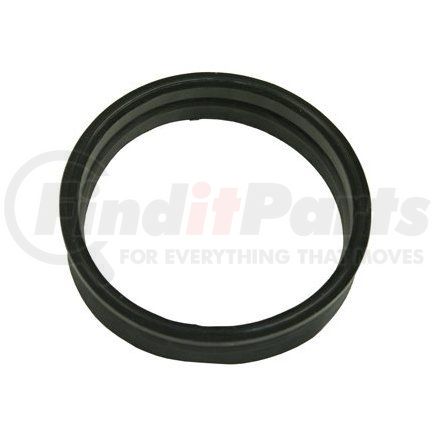 Fuel Pump Tank Seal