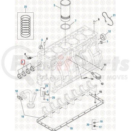 PAI 451487 - engine camshaft bearing set - 2004-2015 international dt570/dt466e heui/dt570 application | engine camshaft bearing set