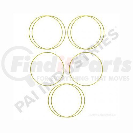 PAI 462030 Cylinder Liner Shim Kit