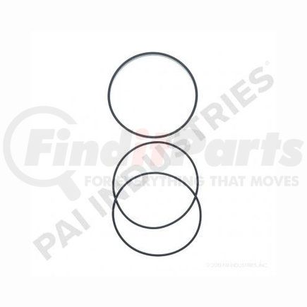 PAI 121326 O-Ring Kit - Cummins 903 Series Application