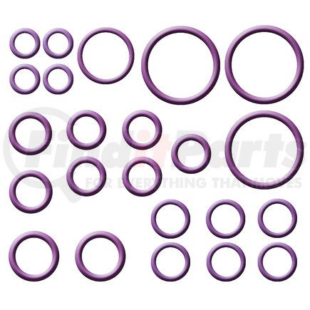 Omega Environmental Technologies MT2621 A/C System O-Ring and Gasket Kit