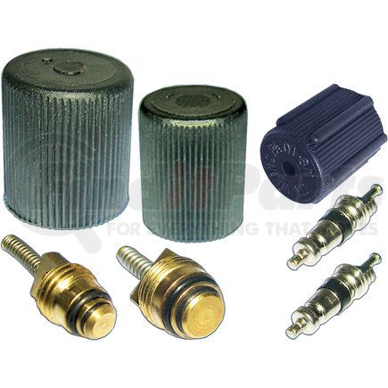 Omega Environmental Technologies MT2905 CAP & VALVE KIT