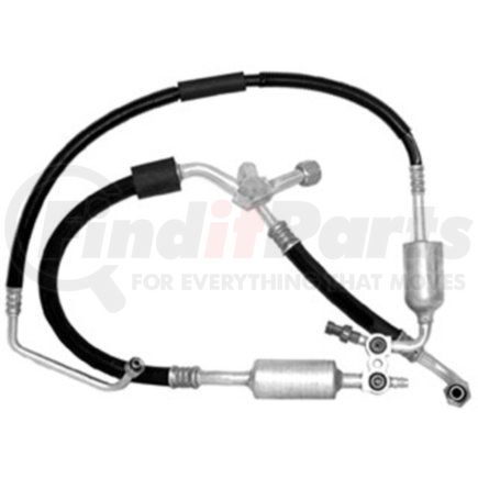 Omega Environmental Technologies 34-63720 MANIFOLD HOSE ASSEMBLY