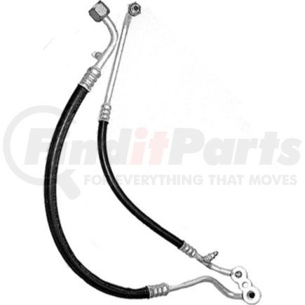 Omega Environmental Technologies 34-63802 MANIFOLD HOSE ASSEMBLY