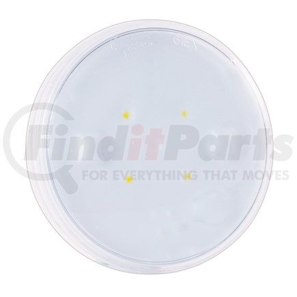 GROTE 61E41 - led whitelight™ 4" dome light - male pin, 12v | 4", led, dome lamp, male pin, 12 volt