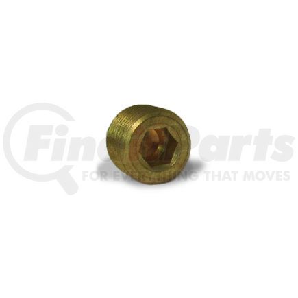 Velvac 17107 Pipe Fitting, Counter Sunk Plug, Brass, 1/4"