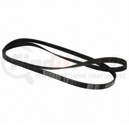 Motorcraft JK61001AB V-BELT