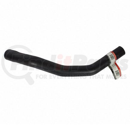 Motorcraft KM4941 HOSE - RADIATOR