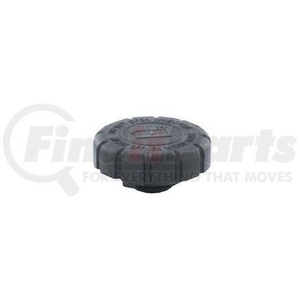 Rein CPE0029P CAP-EXPANSION TANK