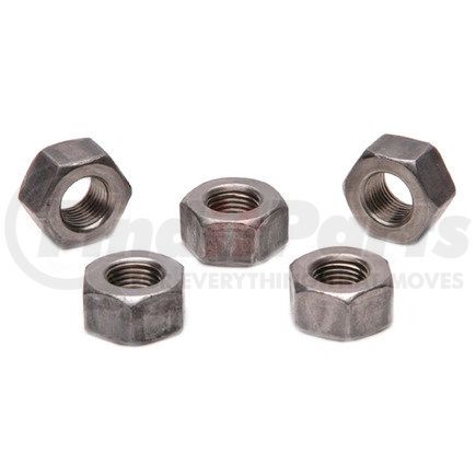 Raybestos 761-5795 Nuts & Bolts