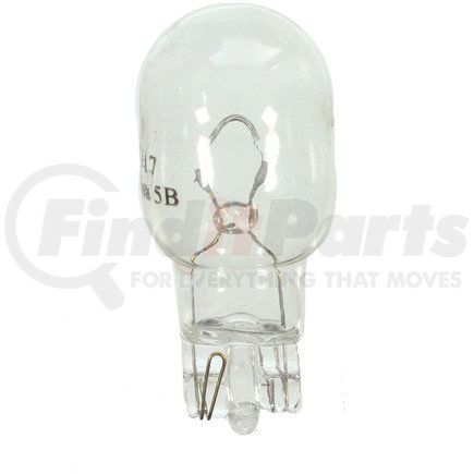 Wagner 917 Wagner Lighting 917 Standard Multi-Purpose Light Bulb Box of 10