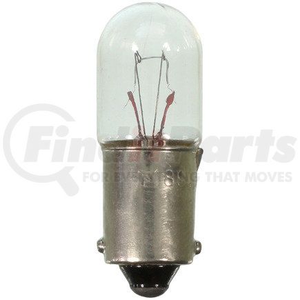 Wagner 1891 Wagner Lighting 1891 Standard Multi-Purpose Light Bulb Box of 10