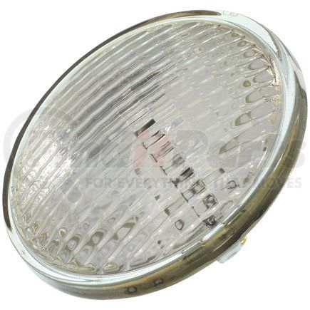 Wagner 4406 Wagner Lighting 4406 Standard Multi-Purpose Light Bulb Box of 1