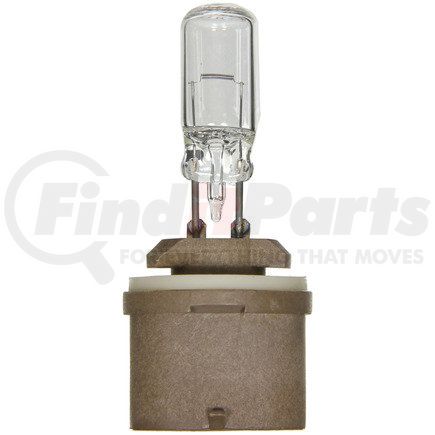 Wagner BP890 Wagner Lighting BP890 Standard Multi-Purpose Light Bulb Card of 1