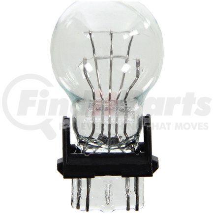 Wagner BP4157LL Wagner Lighting BP4157LL Long Life Multi-Purpose Light Bulb Card of 2