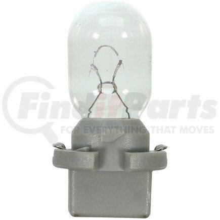 Wagner PC579 Wagner Lighting PC579 Standard Multi-Purpose Light Bulb Box of 10