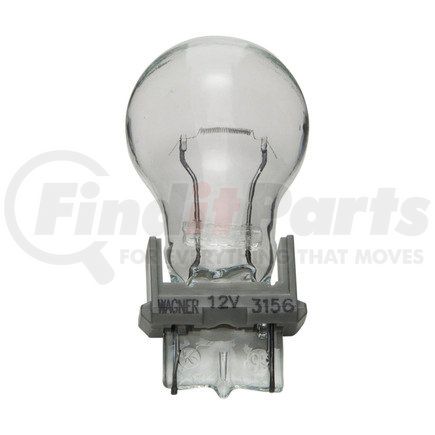 FEDERAL MOGUL-WAGNER 3156 - large standard mini lamp | standard multi-purpose light bulb box of 10