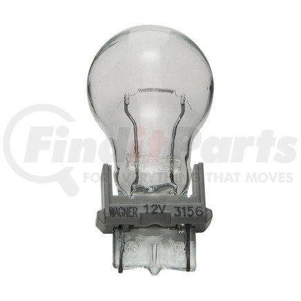 WAGNER 3156 Wagner Lighting 3156 Standard Multi-Purpose Light Bulb Box of 10