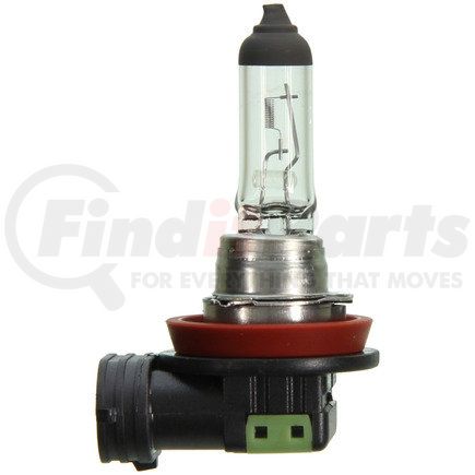 FEDERAL MOGUL-WAGNER BP1255/H11 - light bulb - multi-purpose | light bulb - multi-purpose