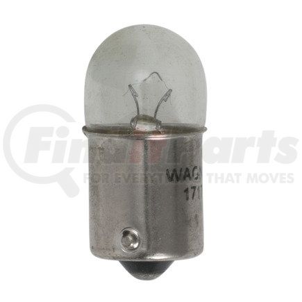 Wagner 17171 Wagner Lighting 17171 Standard Multi-Purpose Light Bulb Box of 10