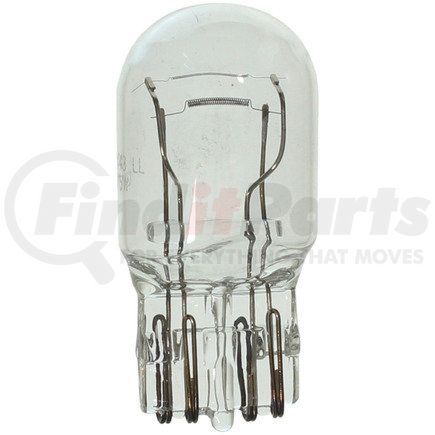 Wagner BP7443LL Wagner Lighting BP7443LL Long Life Multi-Purpose Light Bulb Card of 1