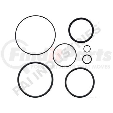 PAI 6565-200 O-Ring Kit