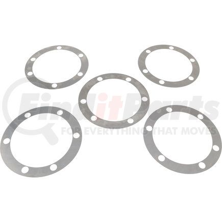 Dana 113878 PIN CAGE .010
