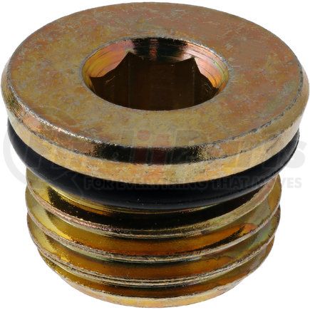 Dana 131487 Axle Housing Fill Plug - 0.43 in. ID, 0.079 in. Width, with O-Ring