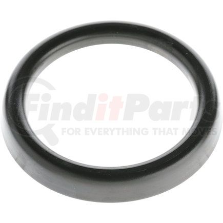 Dana 231935-1 SLINGER