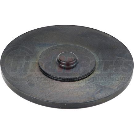 Dana 599805 DIAPHRAGM SEAL