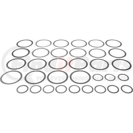 Dana 701008X Differential Carrier Shim Kit