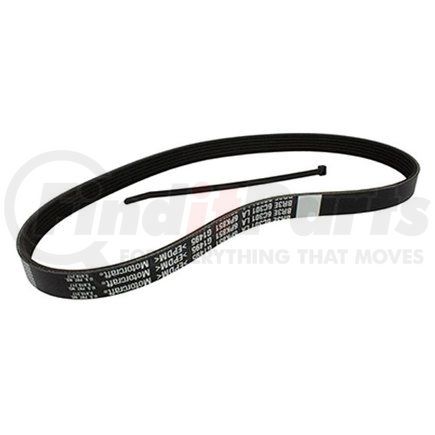 Motorcraft JK6-342-A V-BELT