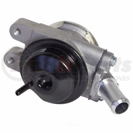 Motorcraft CX-2445 VALVE-EXHAUST