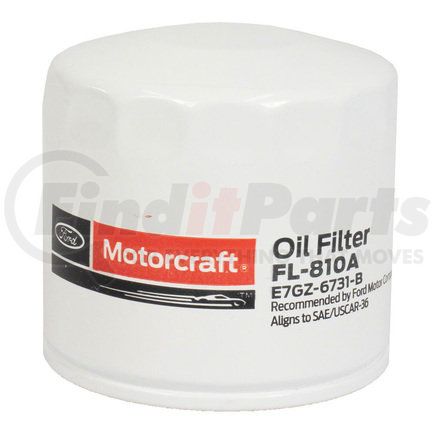 Motorcraft FL810A KIT - ELEMENT & GASKET -