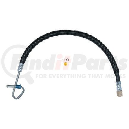 Plews 80309 PS Hose