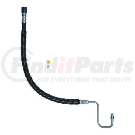 Plews 80311 PS Hose