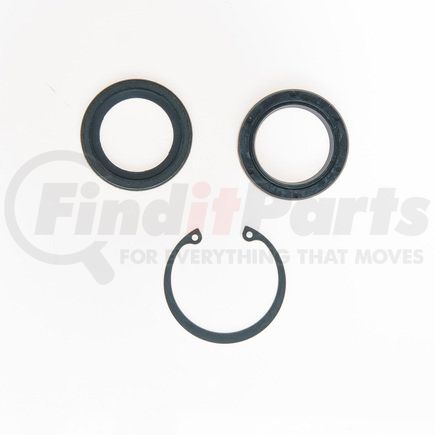 Plews 8517 PS Repair Kit