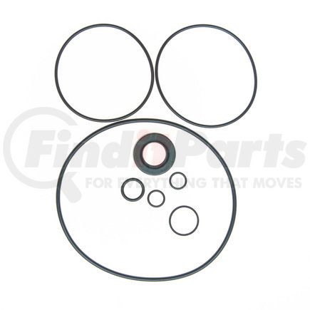 Plews 8754 PS Repair Kit
