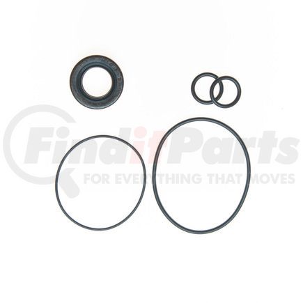 Plews 8796 PS Repair Kit