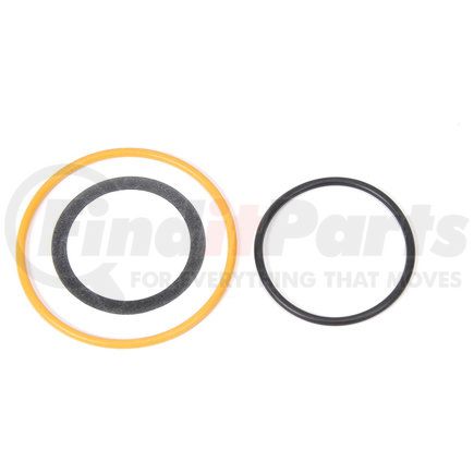 ACDelco 55594608 EGR Valve Gaske (SLP-1)