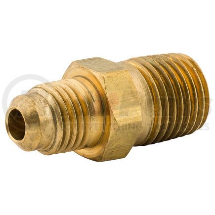 AGS Company BLF-133B Male Connector, Br, 1/4 (1/4 NPTM), Bag