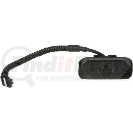 Standard Ignition PAC193 Park Assist Camera