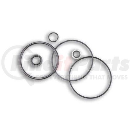 APSCO SK-1779 Hydraulic Cylinder Seal Kit - For use on C-6000 Series Tailgate Cylinders 3/4" Rod