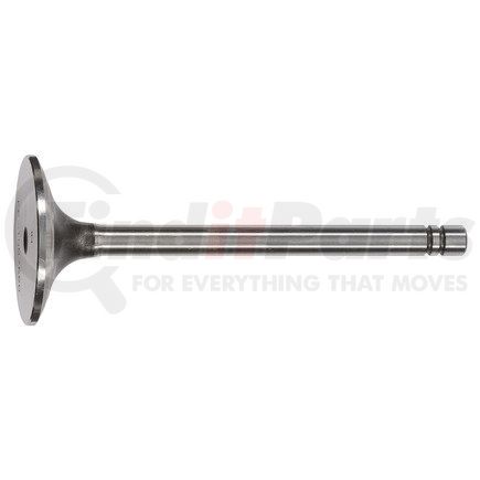 FP Diesel FP-1007860 Intake Valve