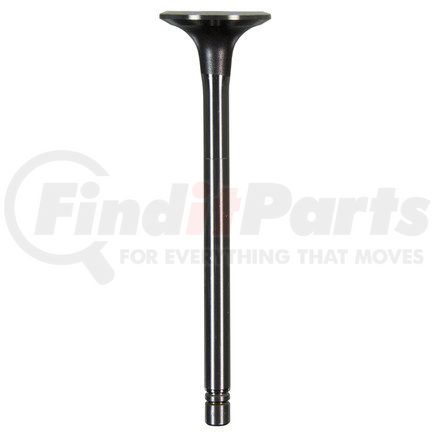 FP Diesel FP-135957 Engine Parts